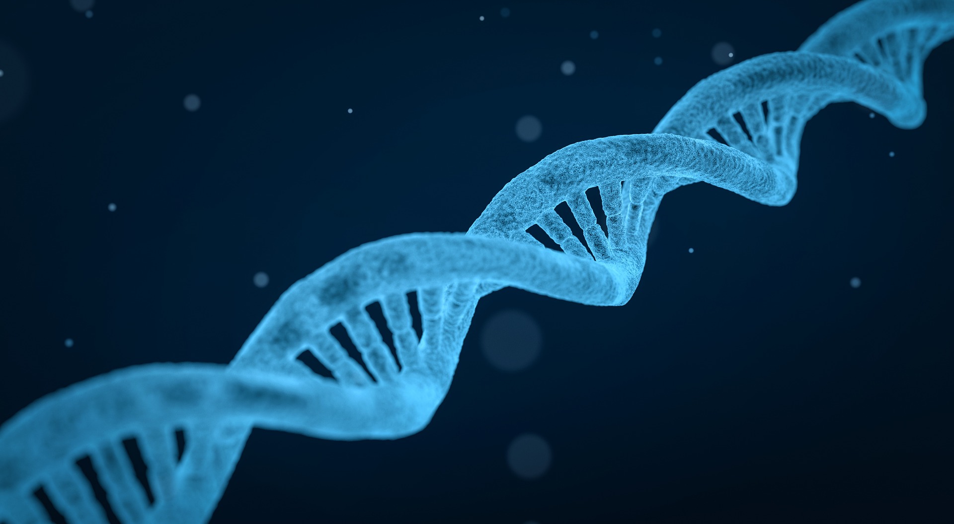 Dietetyka dna 3656587 1920 - Dietetyka